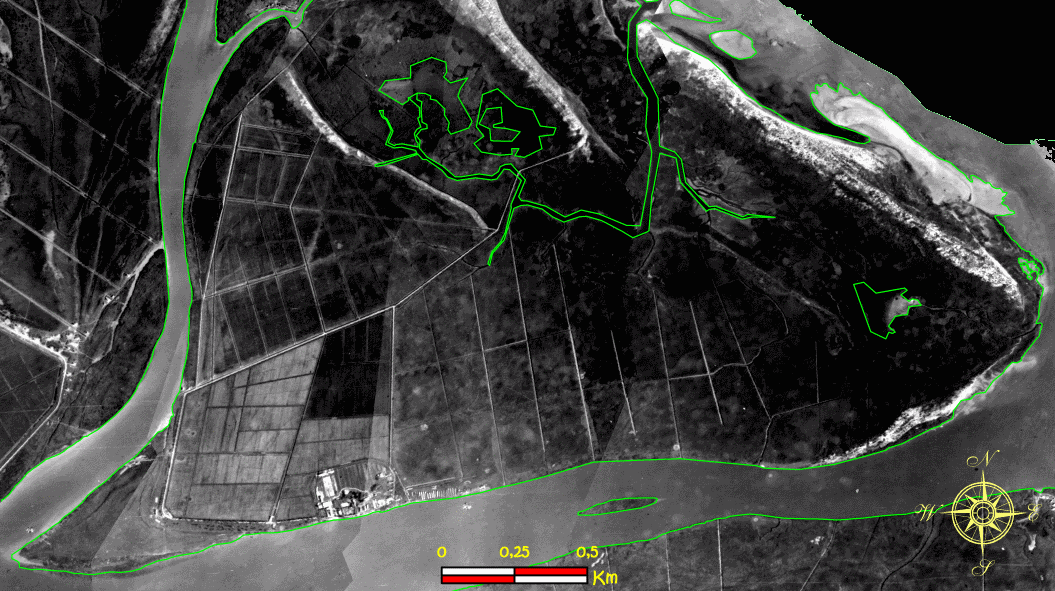 RAF 1944